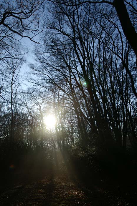 PICT5573
