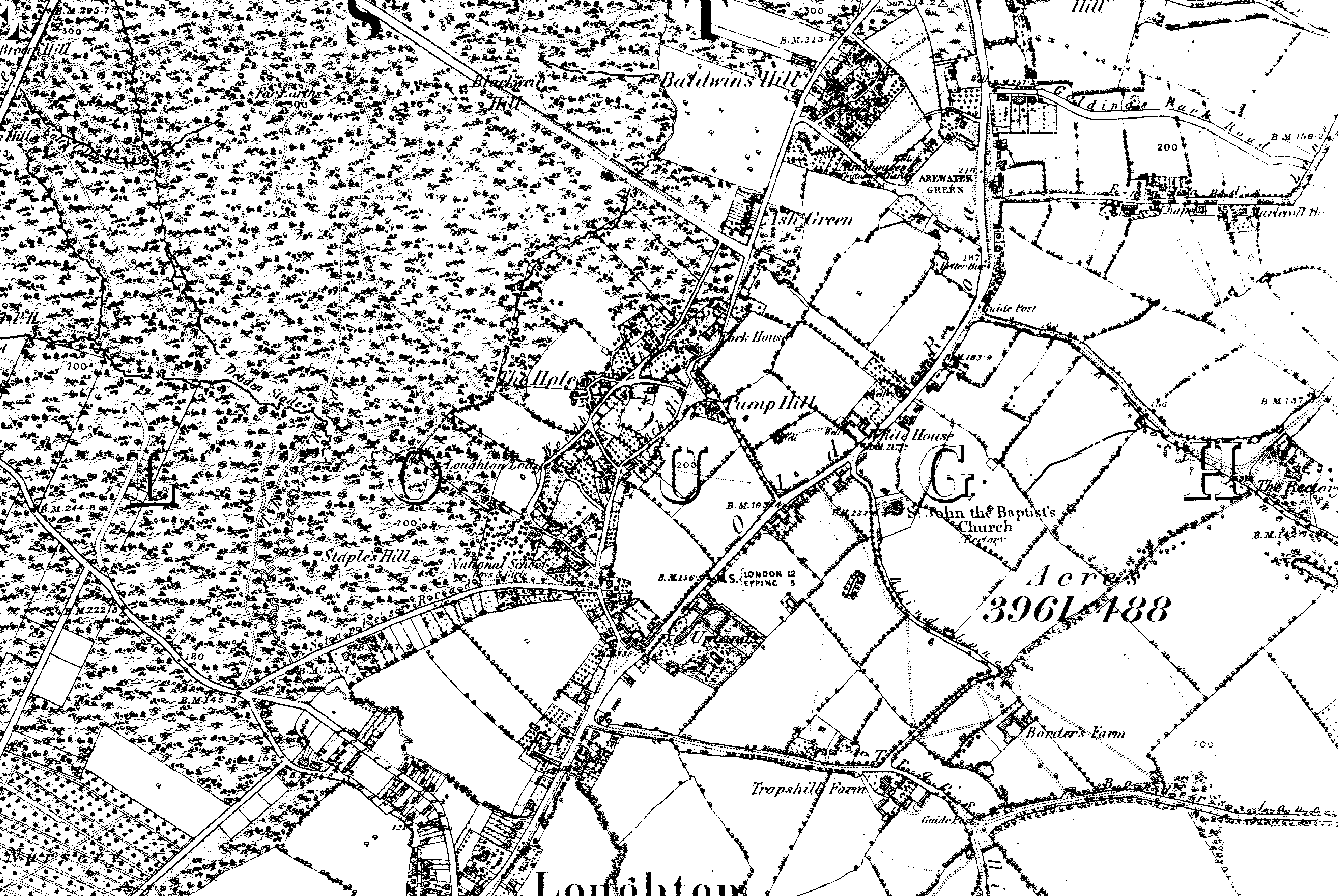 Epping Forest, Loughton, Essex
